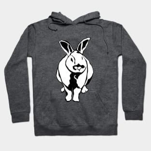 The Fluffy Bunny Hoodie